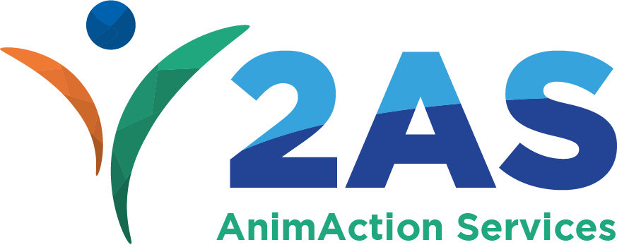 AnimAction Services